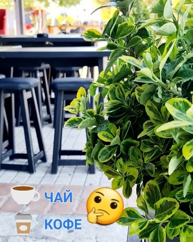 GREEKSALAT в LOOKY. #фредо,#фраппе,#Греция,#греческийсалат,#кофе,#чай,#кофейня,#хорека,#horeca,#доброеутроnow. С добрым утром, друз...