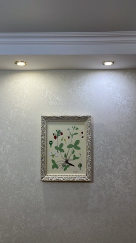 Insubstrata в LOOKY. #art,#artgallery. Устроила выставку ка...