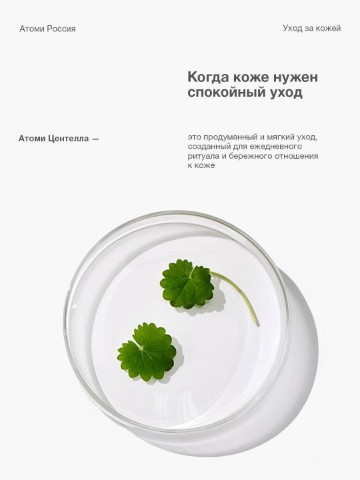 Looky_1713160980631 в LOOKY. . Центелла — это расти...