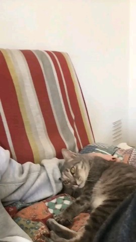 vetklinika.brb в LOOKY. . А ну-ка, повтори, чт...