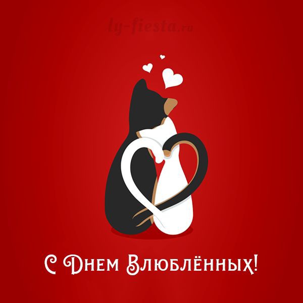Кристина Лугина в LOOKY — фото 2