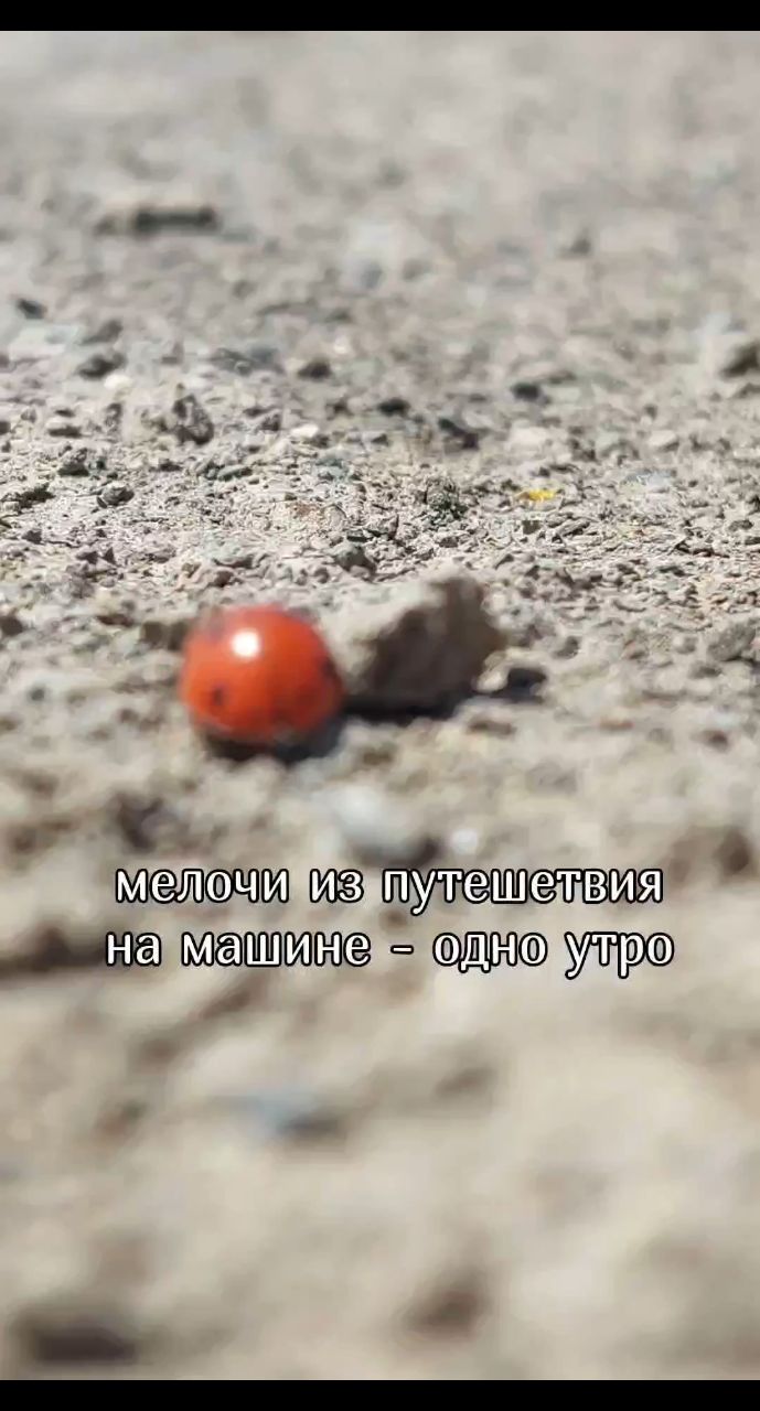 Автобродяги in LOOKY. . Прекрасное утро в пу...