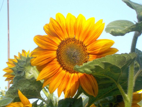 Looky_176539158249016 в LOOKY. . 