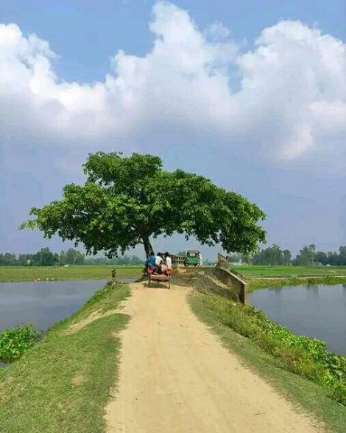 Mofassel в LOOKY. . Nice