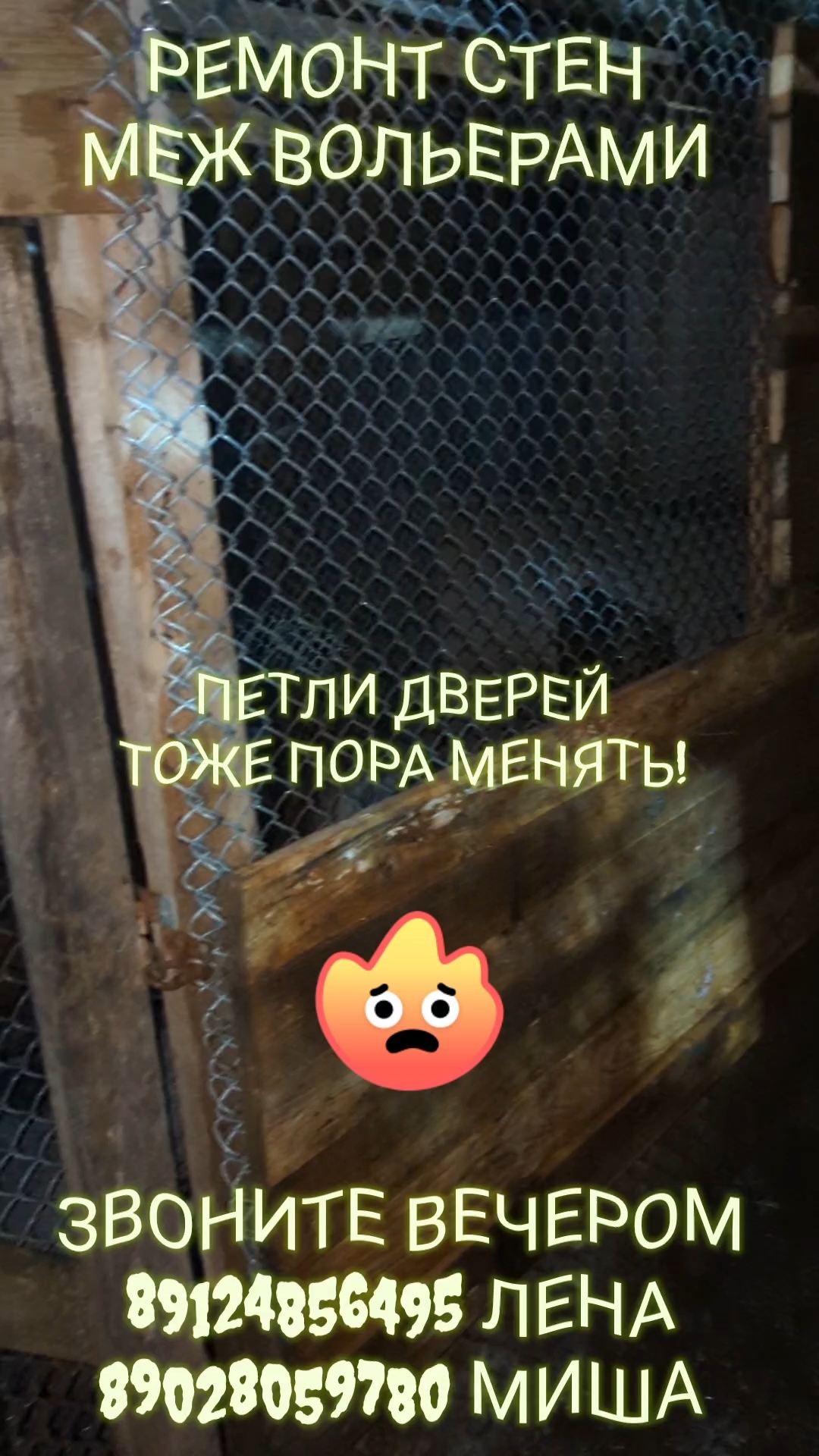 Лена Козлова в LOOKY — ❤️ Ремонт стен и будки в части из вольеров 👍
Раньше времени