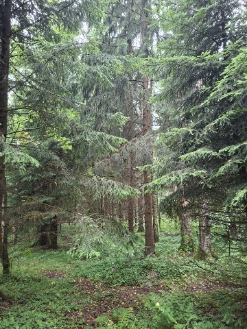 Ната Грин в LOOKY. . Релакс на природе😍
...