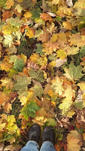 jakovenko.enji в LOOKY. . 🍁🍂