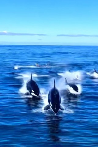 Looky_1700991869431 в LOOKY. . 