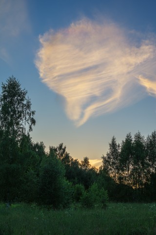 poboruev_landscape в LOOKY. #природа,#закат,#рассвет,#лето,#небо,#облака,#лес,#ассоциации,#утро,#вечер,#фотоприроды,#природноефото,#фотоманитнас,#небесныеузоры. Кто что видит? Жена ...