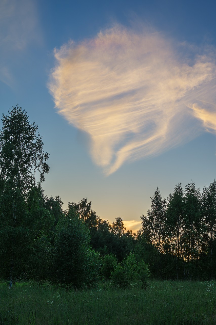 poboruev_landscape в LOOKY. #природа,#закат,#рассвет,#лето,#небо,#облака,#лес,#ассоциации,#утро,#вечер,#фотоприроды,#природноефото,#фотоманитнас,#небесныеузоры. Кто что видит? Жена ...