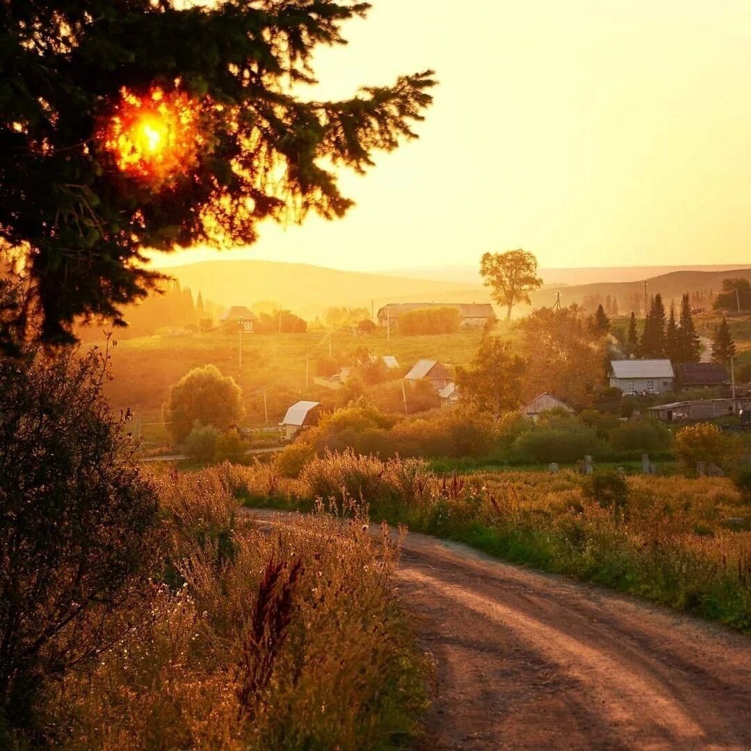 Утро в деревне.
[#природа](природа) [#дерево](дерево) [#дерево](дерево) 