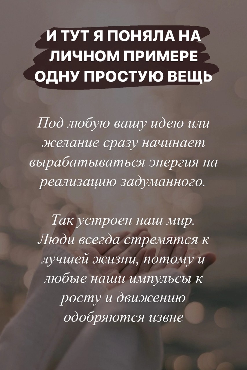 Рассветный Кот в LOOKY — публикация