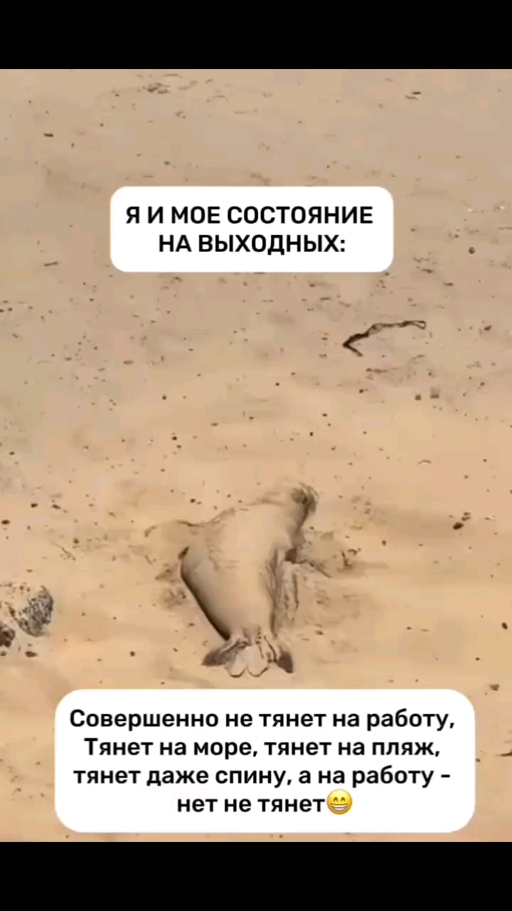 Evgeniya_ev15 в LOOKY. . Даже мини отпуск  вы...