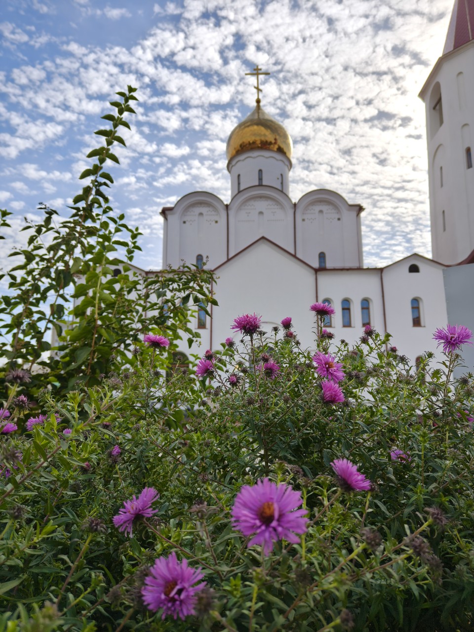 3 сентября 2027 г. Сегодня ⬆️ нафоткала. 😁 Здравствуйте, дорогие мои. Сегодня провела за компьютером чуть больше получаса - побежала закапывать в глаза. Снова экспериментировать остерегусь. Пока по полчаса, не больше. За полчаса много не напишешь, конечно, но хоть что-то... Погода, кстати, чудесная! ☀️ На улице прямо лепота. Всех обнимаю! 😊 #sekret_natali #пейзаж #клирос #взгляд_с_клироса #клиросноеслужение #клиросные_заметки #храмтихоназадонского