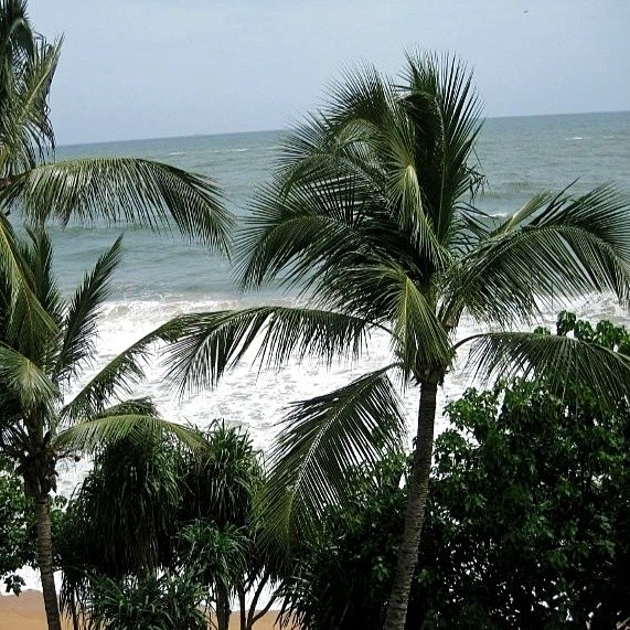 Виктор в LOOKY — фото 2