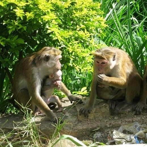 Виктор в LOOKY — фото 8