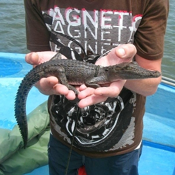 Виктор in LOOKY. #мой2016,#шриланка,#путешествия,#природа. #мой2016 год запомни...