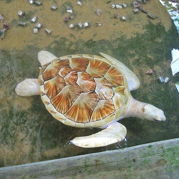 Виктор в LOOKY — фото 7