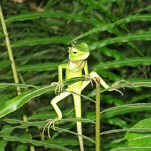 Виктор в LOOKY — фото 6