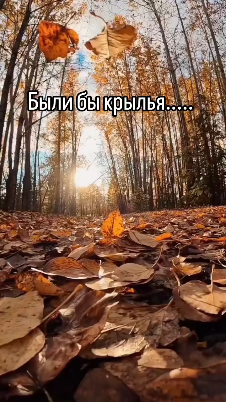 elviralabutkina in LOOKY. . Привет, октябрь))