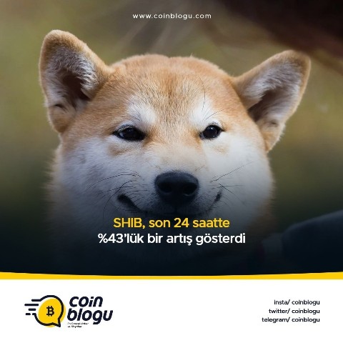 CoinBlogu в LOOKY. #kriptohaber,#kriptopara,#shibainu,#shibcoin. [#shibainu](shibainu...