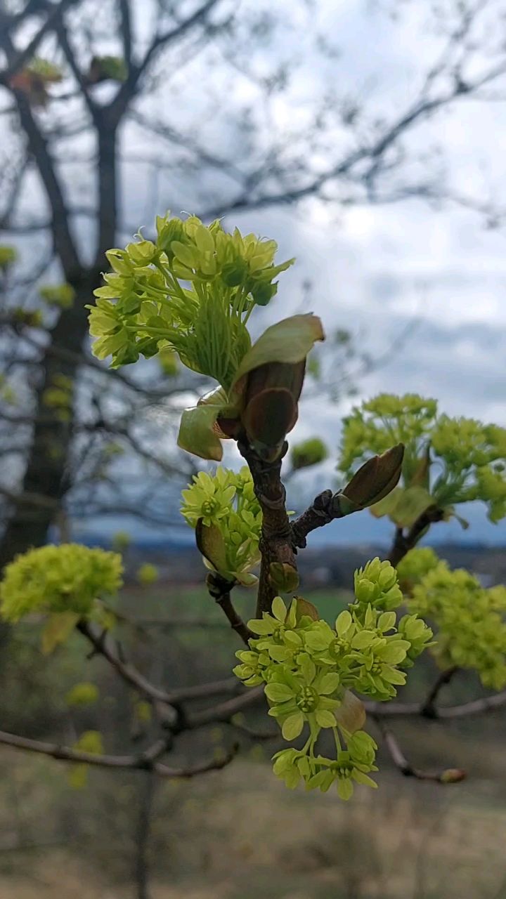 Галина Венн in LOOKY. . Остановись мгновенье...
