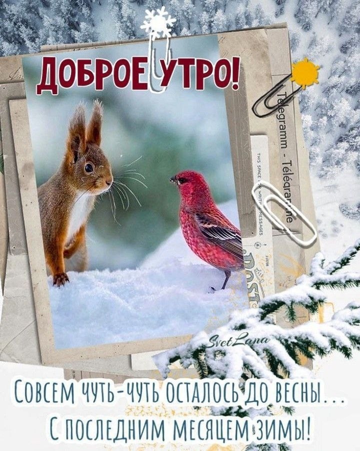 Олик Саргош в LOOKY — публикация