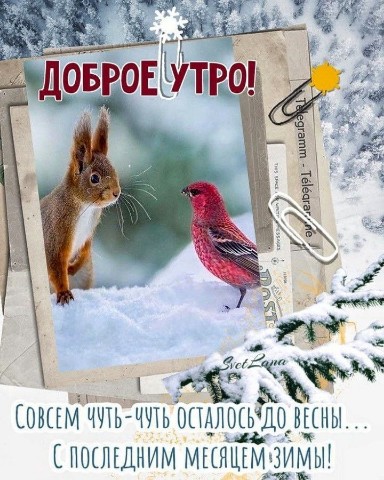 Олик Саргош в LOOKY. . 