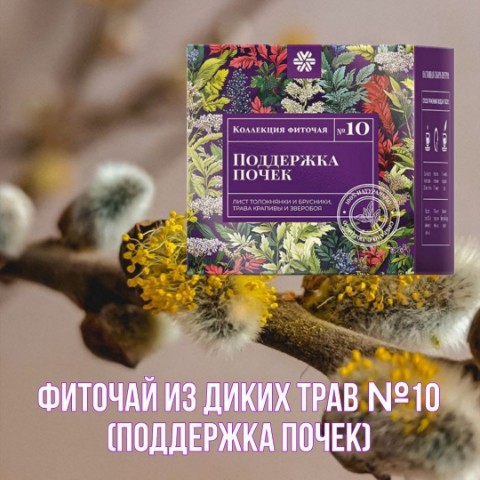 Людмила Жить здорово в LOOKY. . Фиточай из диких тра...