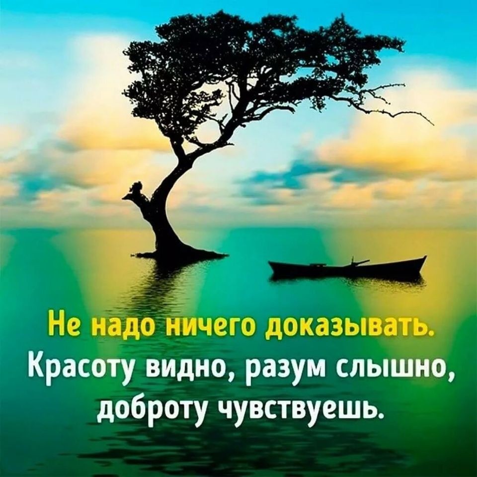  в LOOKY — публикация
