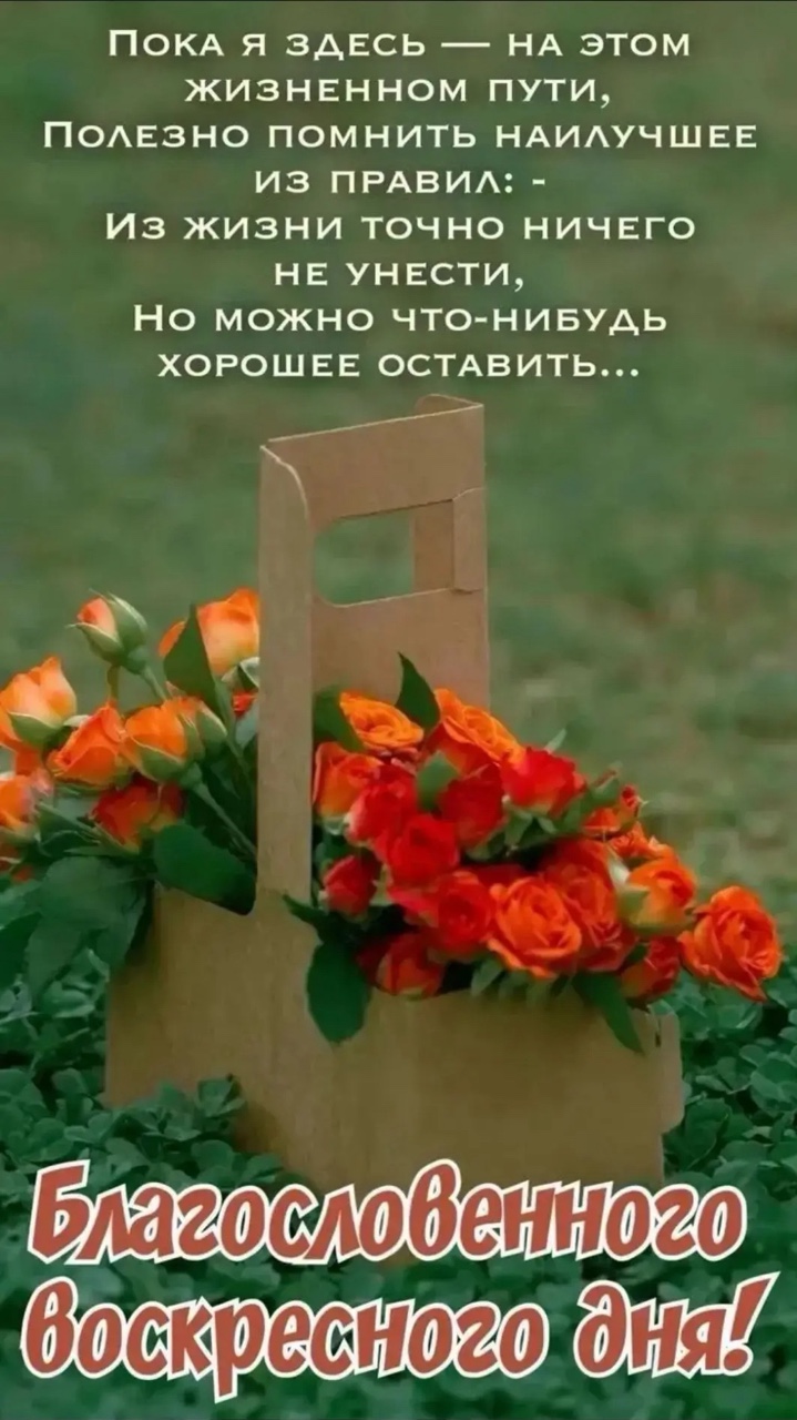 Медицинская студия ФЕНИКС в LOOKY — 🙏🙏🙏❤️❤️❤️🙏🙏🙏