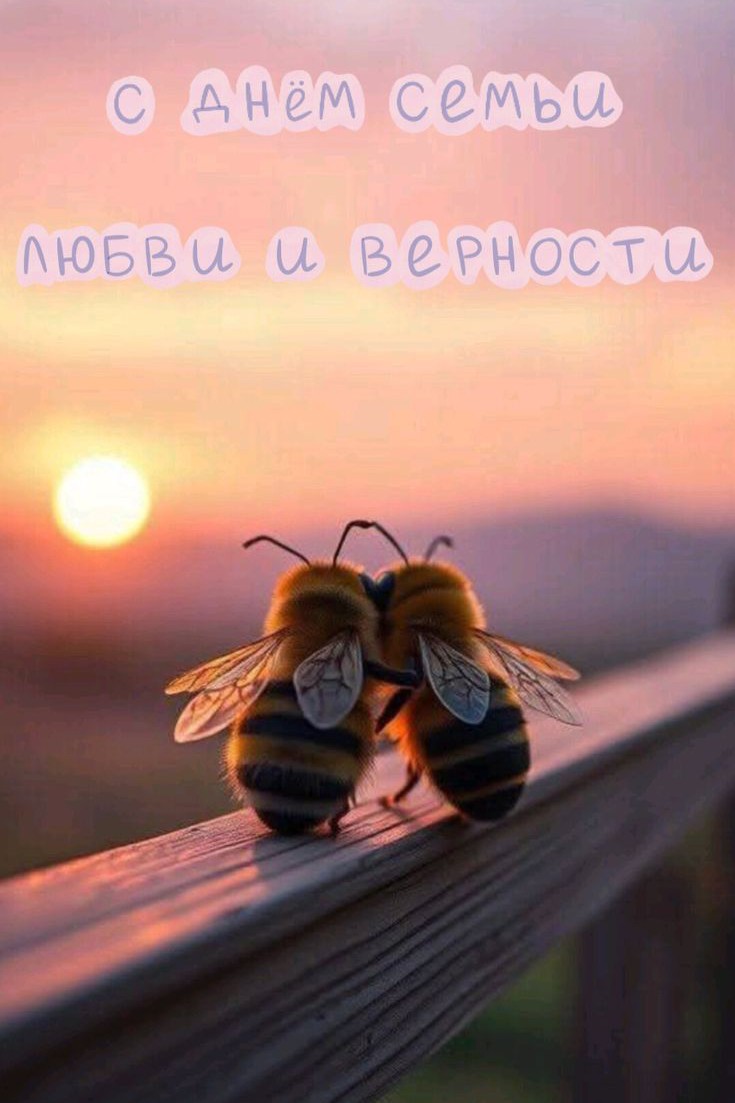  в LOOKY — публикация