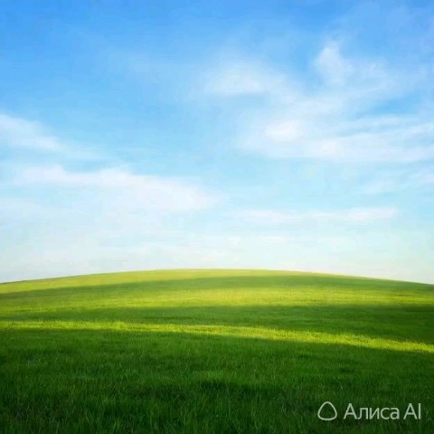 Наталья Мирош в LOOKY. . 