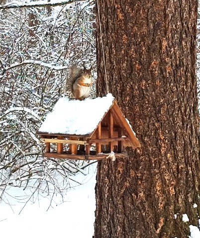 Храповицкий Сергей в LOOKY. . 1апрельская 🐿 в Уде...