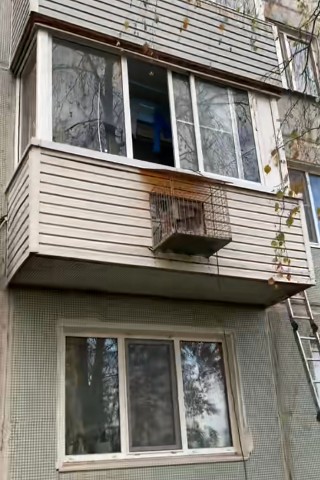 oknafolkon.ru в LOOKY. . ВЫГУЛ СОБАК НА БАЛКО...