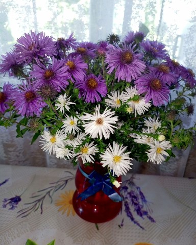 Светулек в LOOKY. #астры#. Букетик осени #астры...
