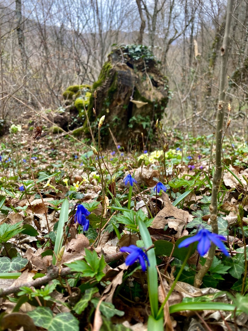 nina_melekhova в LOOKY — фото 3