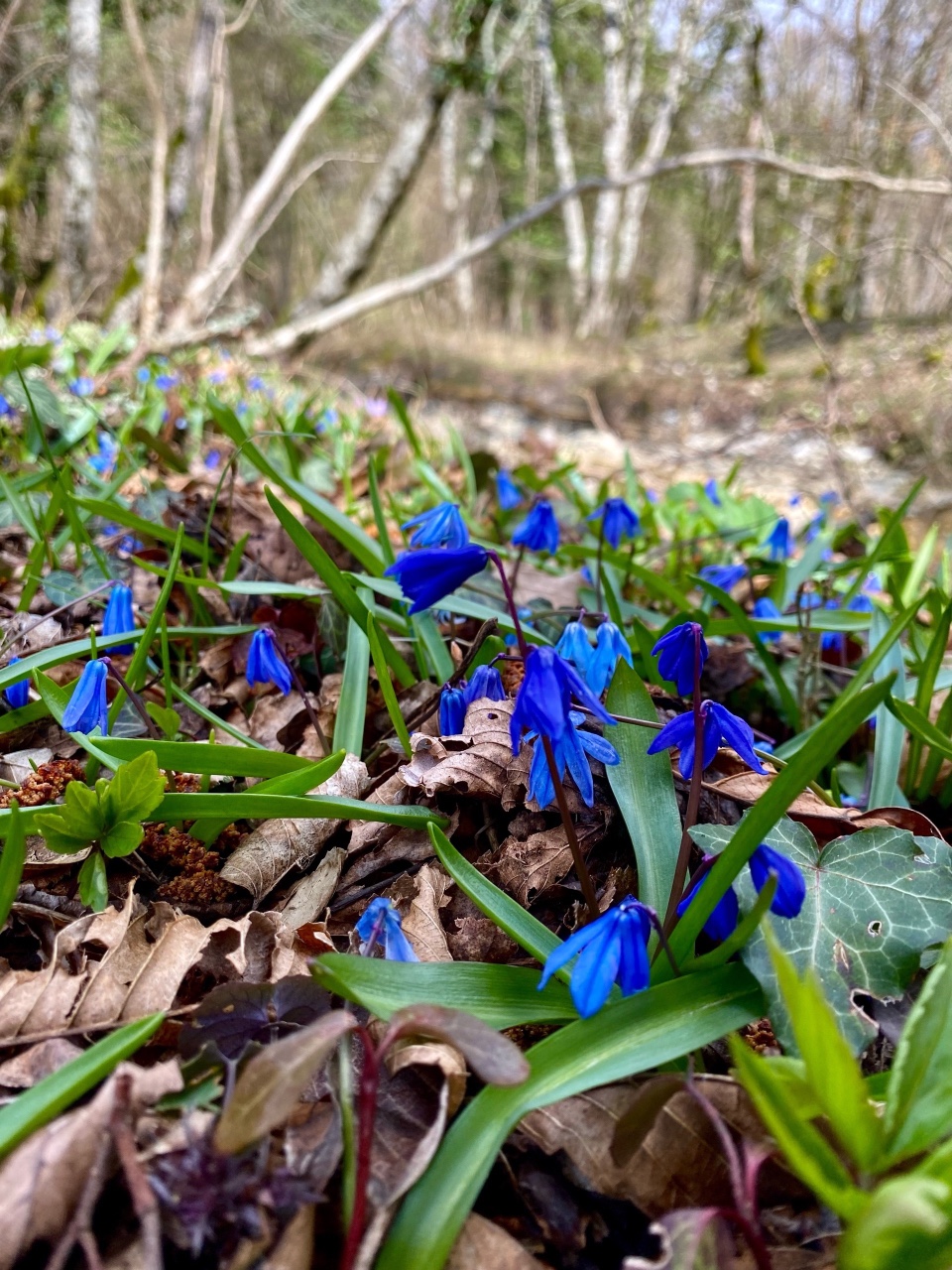 nina_melekhova в LOOKY — фото 4