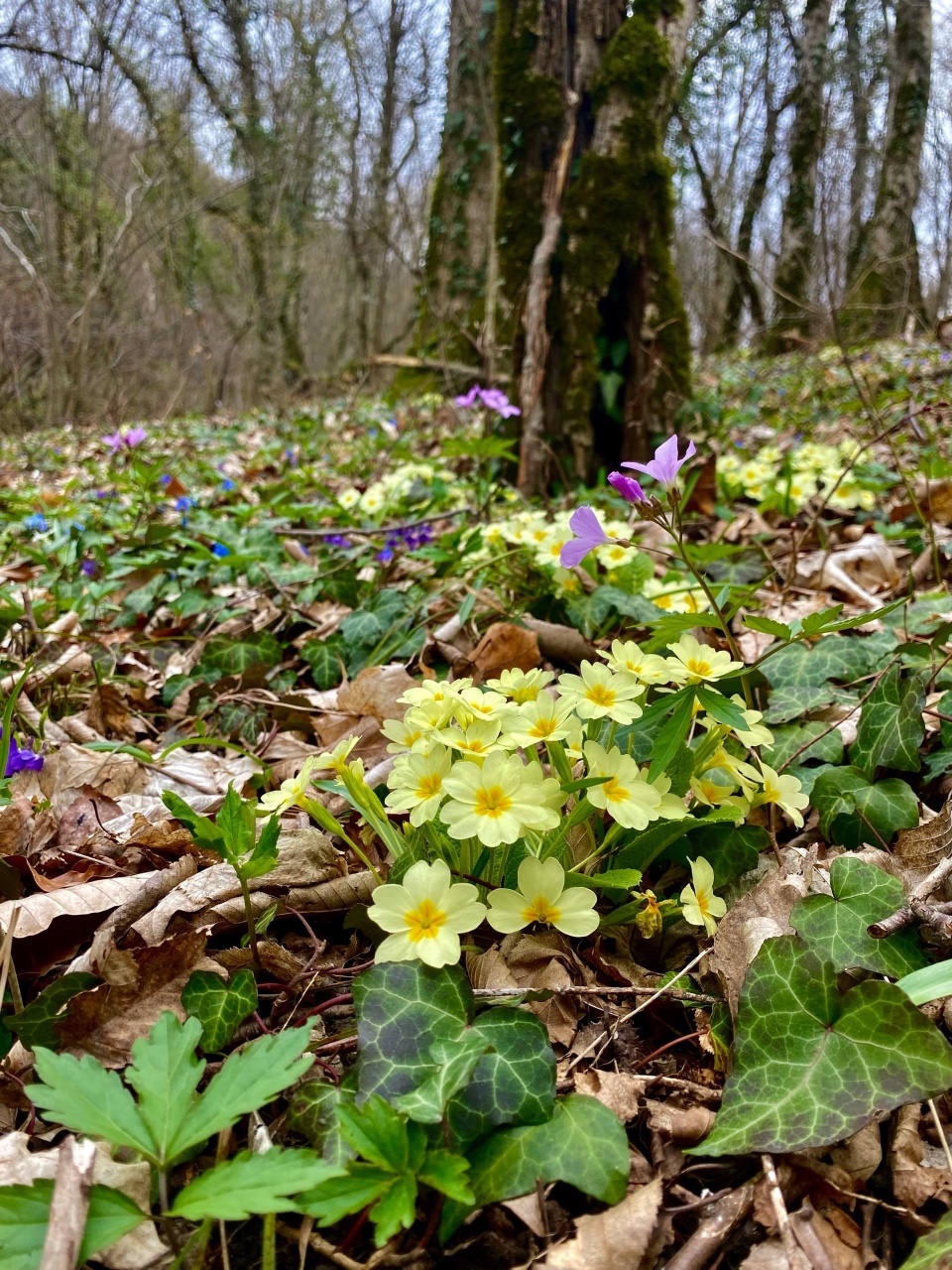 nina_melekhova в LOOKY — фото 8