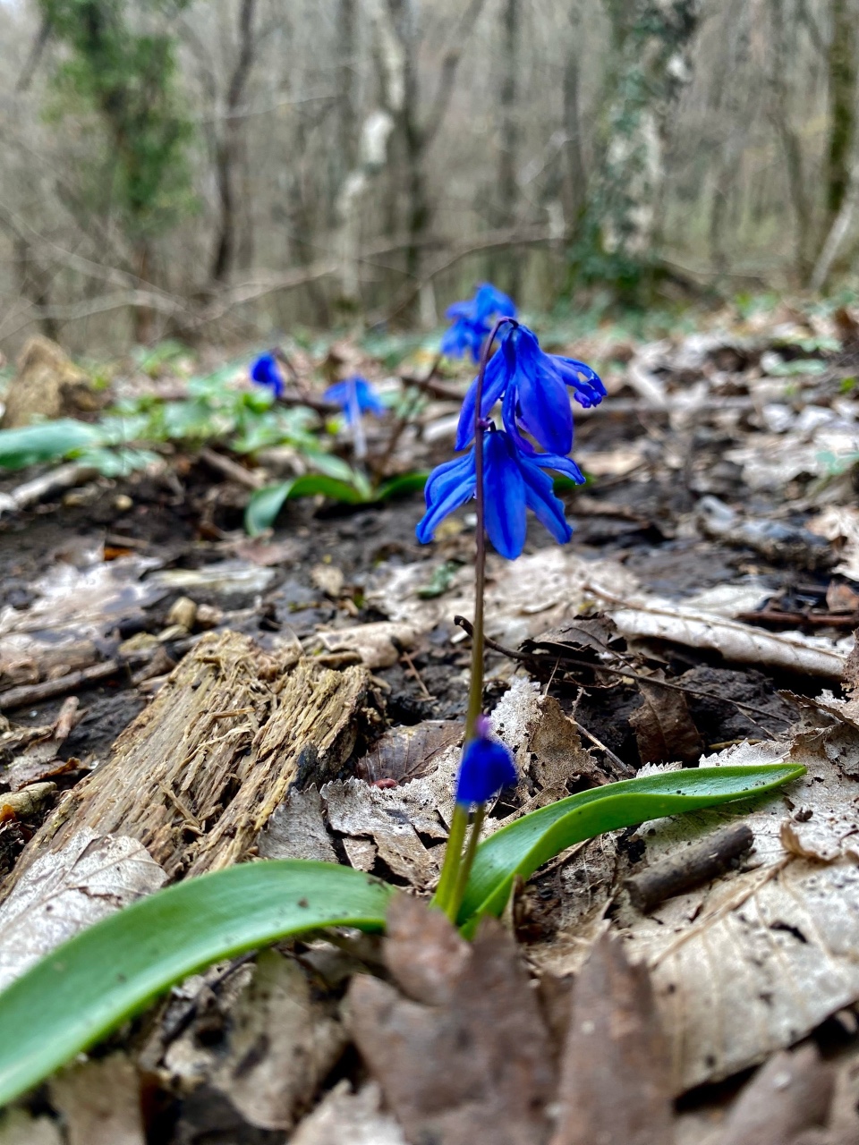 nina_melekhova в LOOKY — фото 9