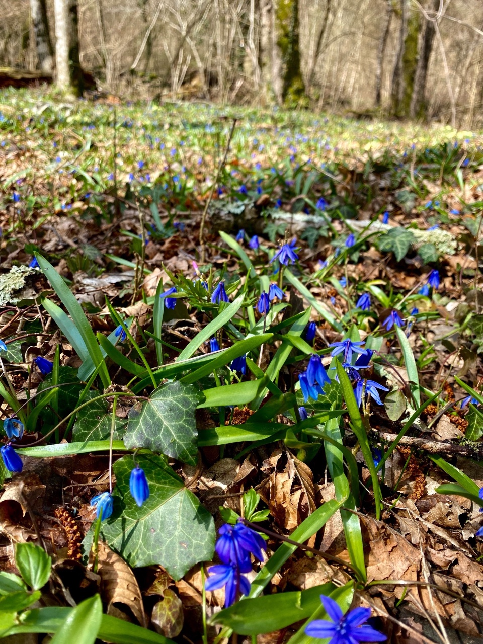 nina_melekhova в LOOKY — фото 6