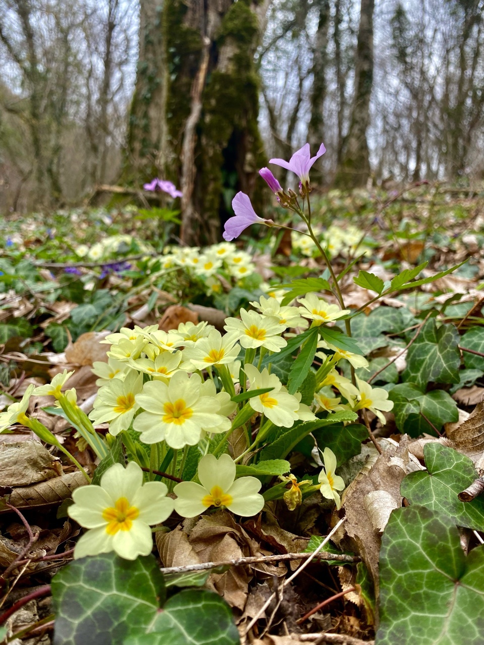 nina_melekhova в LOOKY — фото 5