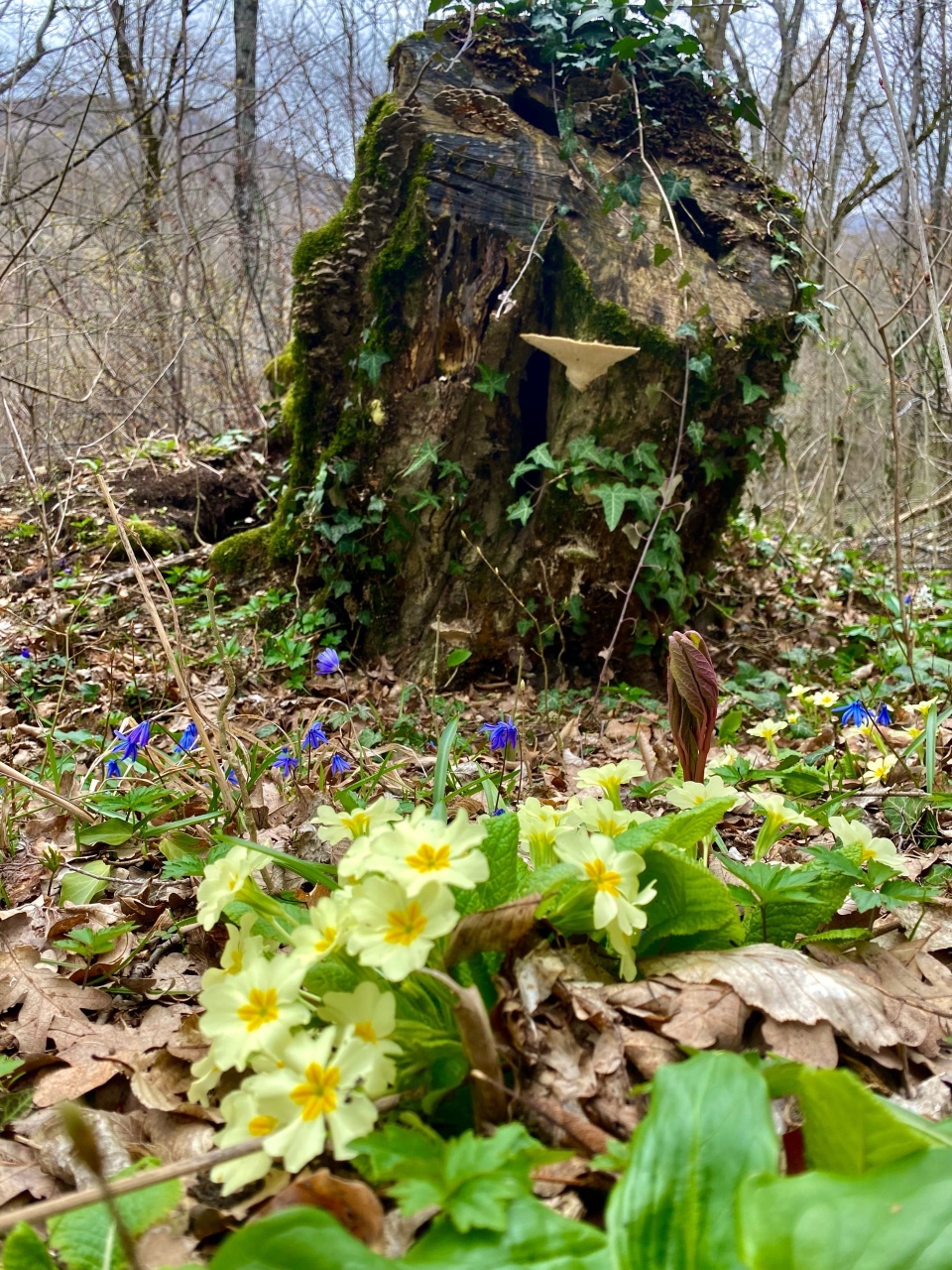 nina_melekhova в LOOKY — фото 7