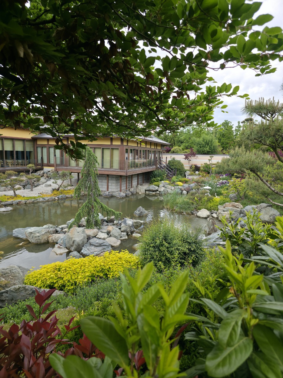 denis.nvrsk в LOOKY — фото 3