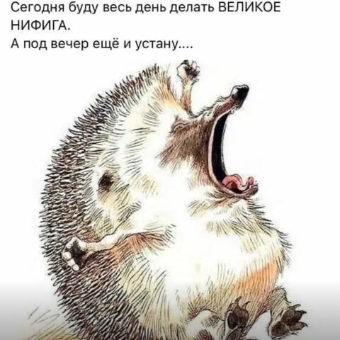 elenaklementeva3 в LOOKY. . Так и выглядит насто...