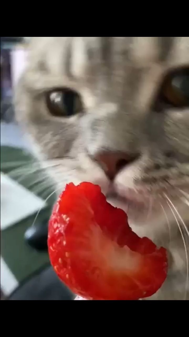 Александр в LOOKY. . 