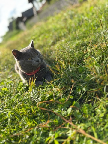 cheblakovazhenya в LOOKY. . Наш сладкий Бусик🥰