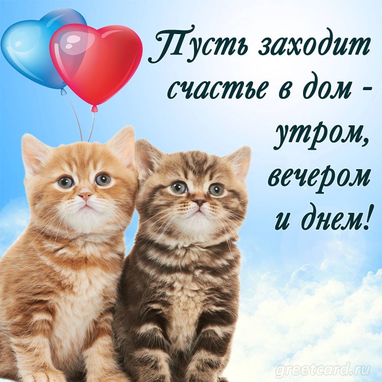  в LOOKY — публикация