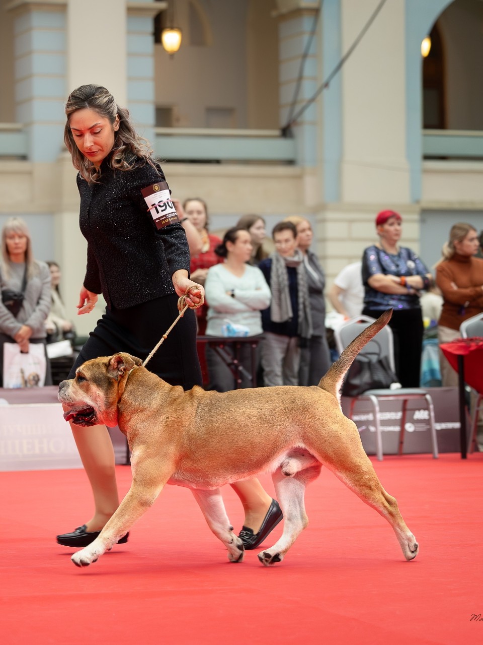 anbarinova в LOOKY. . Веселился, как мог :...