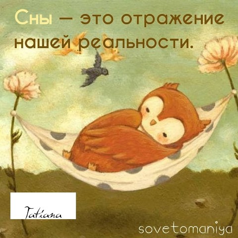 Looky_1695925200957 в LOOKY. . [#жизньпрекрасна](жи...